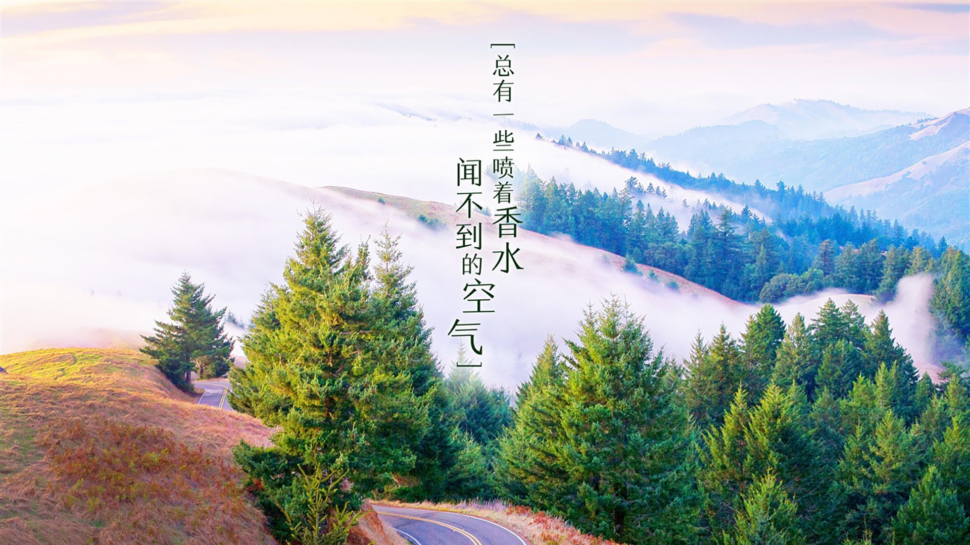 九游娱乐官网 (JIUYOU)-《未来电竞场馆：智能化、绿色化的发展趋势》，电竞馆的发展趋势分析