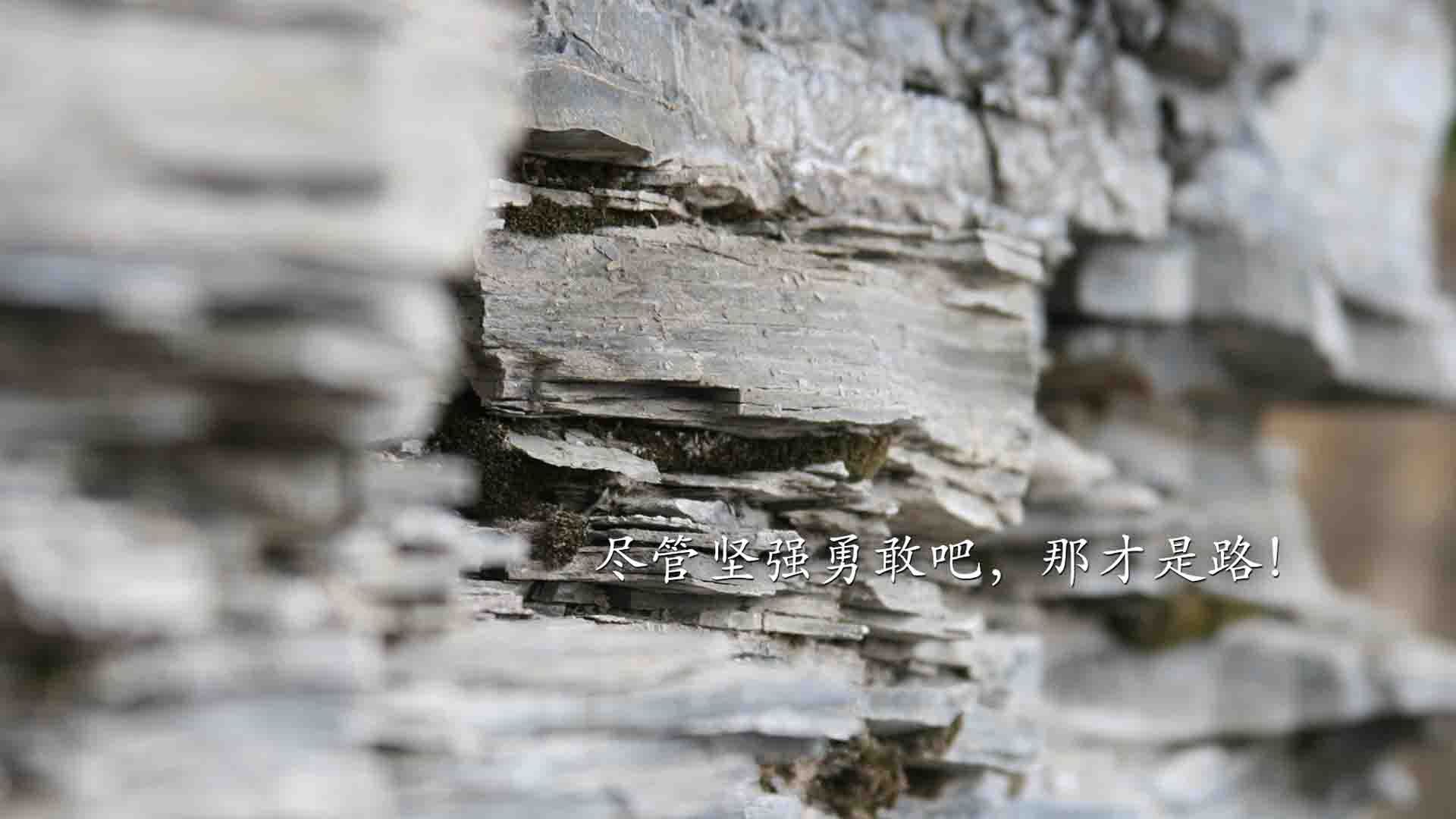 库里汤普森火力全开！，库里汤普森复出