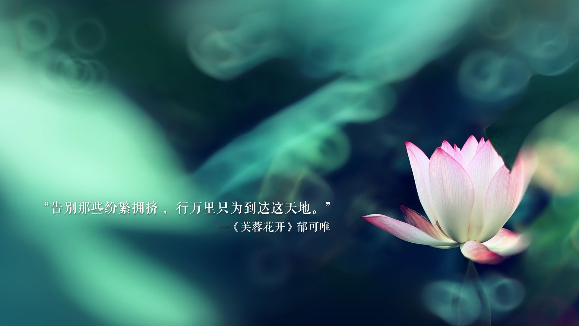 穿越火线 战队之间竞技水平提升明显，穿越火线战队队规