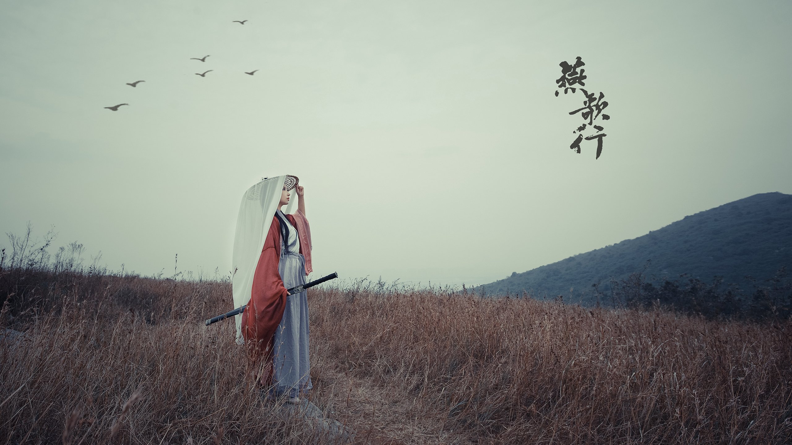 纪录保持者：那些打破或保持历史纪录的明星，纪录“纪录”