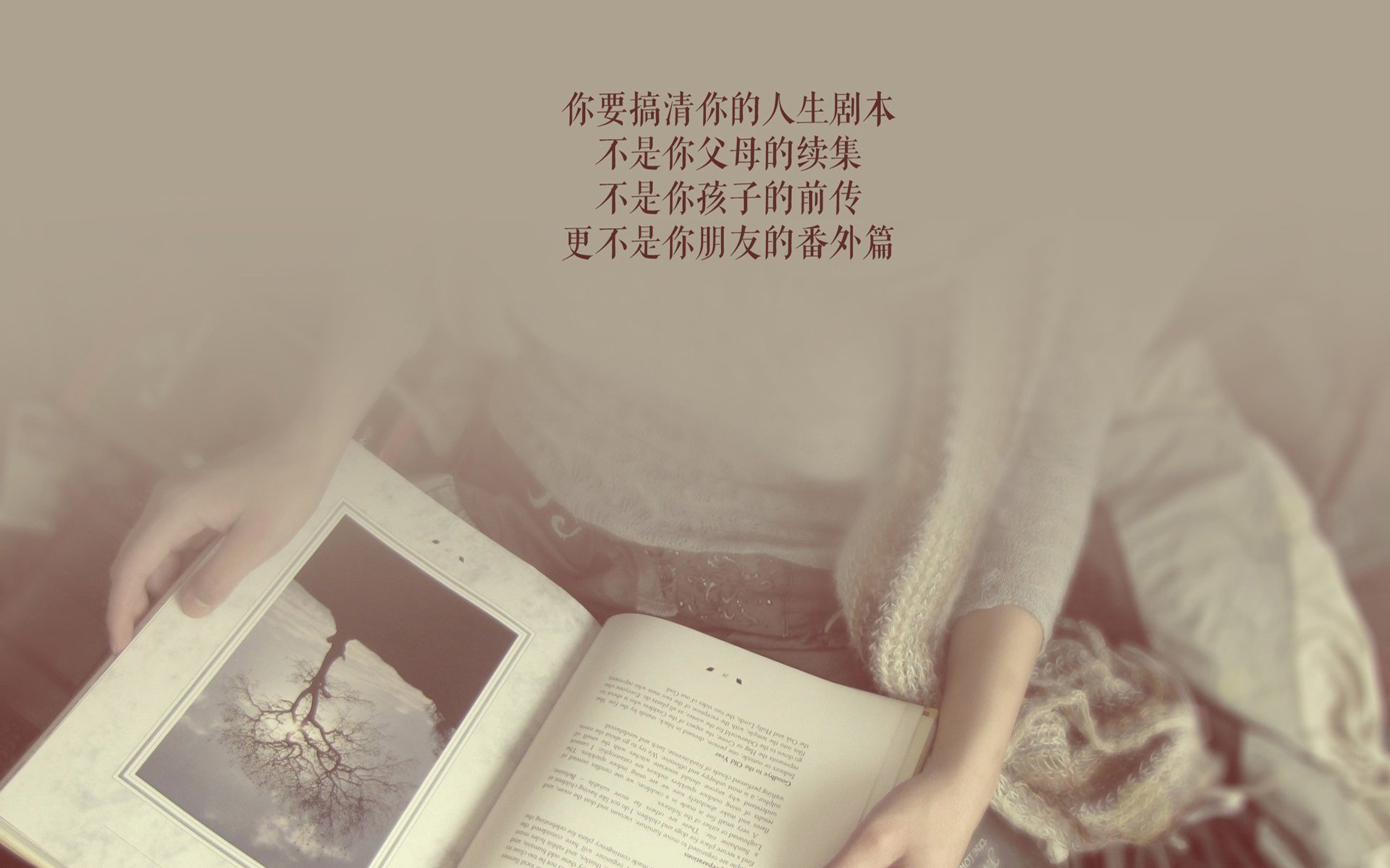 九游娱乐APP-凯尔特人冲击榜首全队稳定输出，凯尔特人队员
